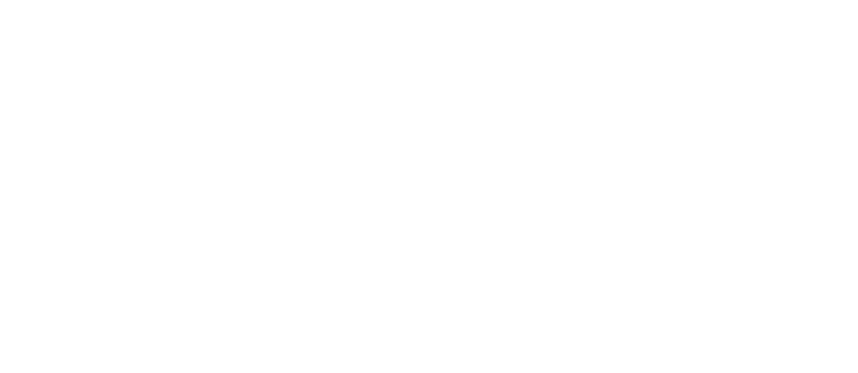Faucigny Mont Blanc Développement